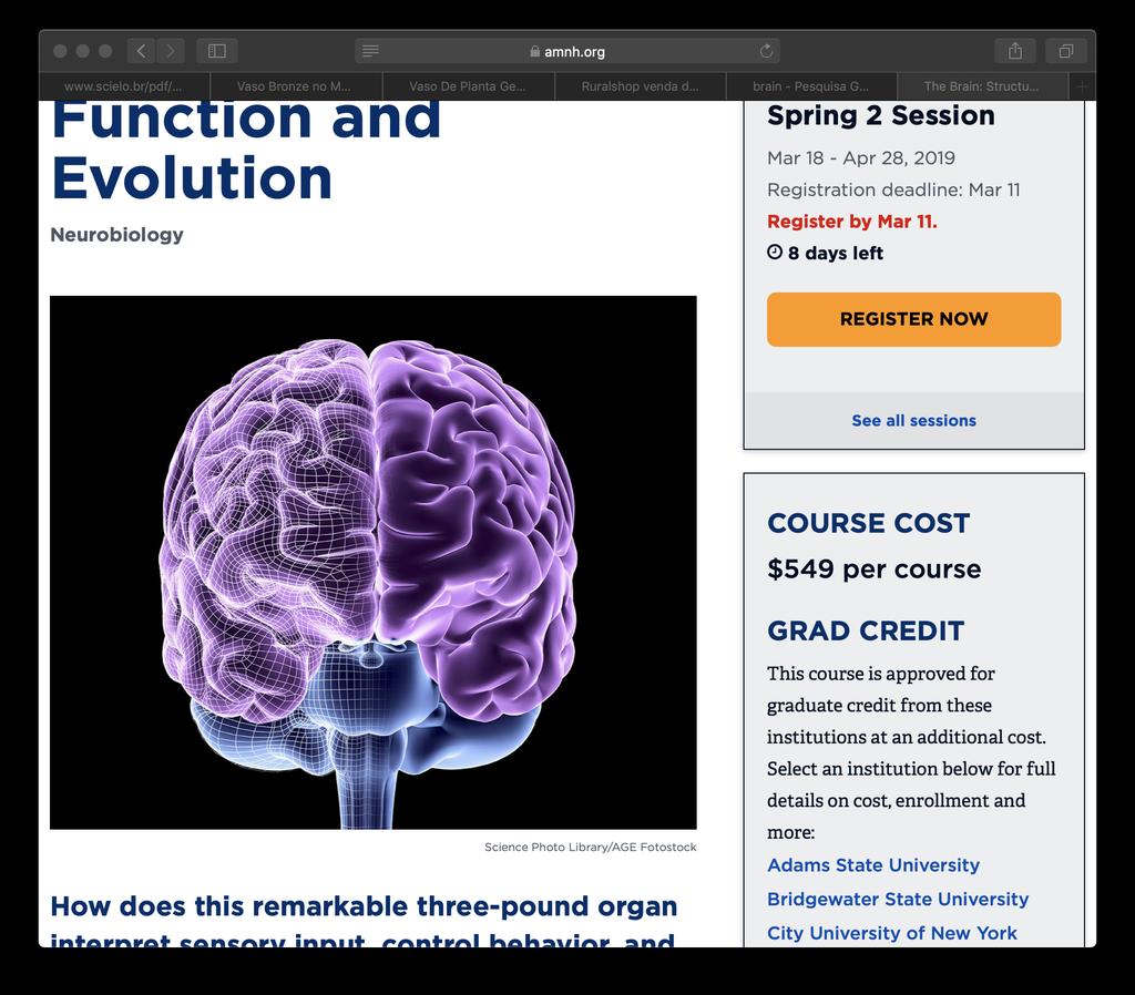 1º/2019 FNEURO 3