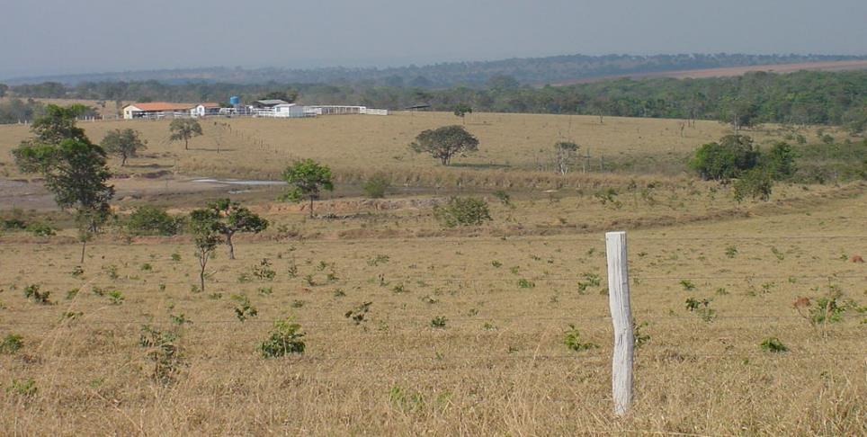 Cerrado em relação às grandes bacias hidrográficas brasileiras?