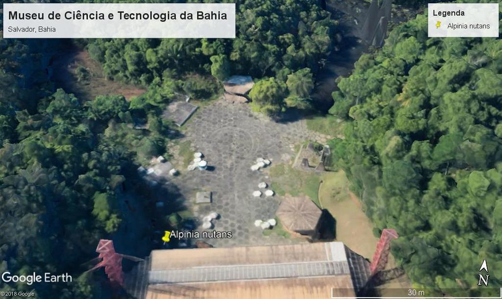 MATÉRIAIS E MÉTODOS O estudo foi desenvolvido em um remanescente urbano de Mata Atlântica localizado no Museu de Ciência e Tecnologia da Bahia (12 57'59.2"S 038 25'33.