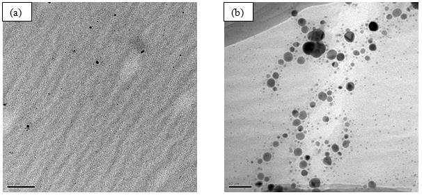 45 5.2.1 Microscopia Eletrônica de Transmissão Foram realizadas micrografias apenas para a nanopartícula mantida em solução aquosa.