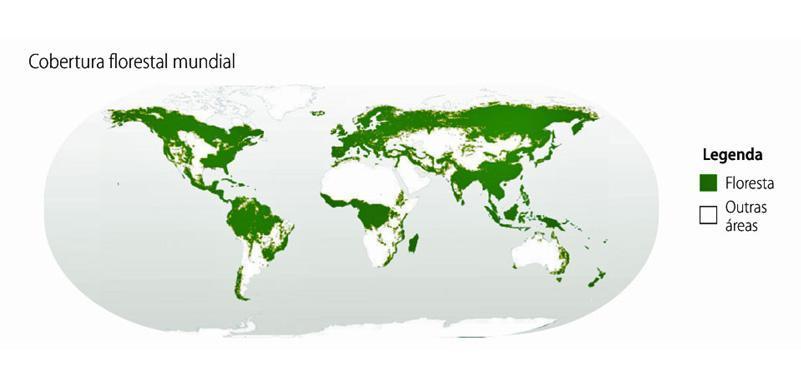 Florestas Plantadas 291 Milhões de