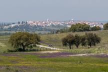 Depois de um delicioso almoço, continuamos a pedalar para as aldeias de Reguengos de Monsaraz (Capital Europeia do Vinho) e para São Pedro do Corval - conhecido como o centro de olaria em Portugal.