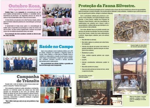* No Período foi publicado no jornal de circulação interna O Bagaço diversas matérias educativas sobre a preservação ambiental.