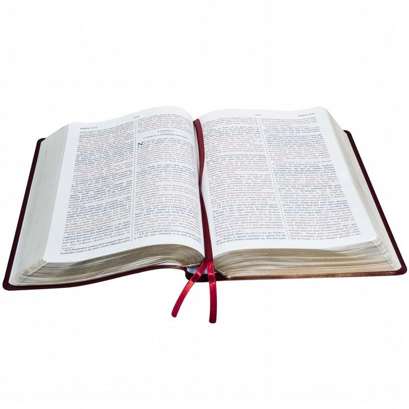 O conteúdo do conhecimento Porque obedecer a palavra de Deus? 1.