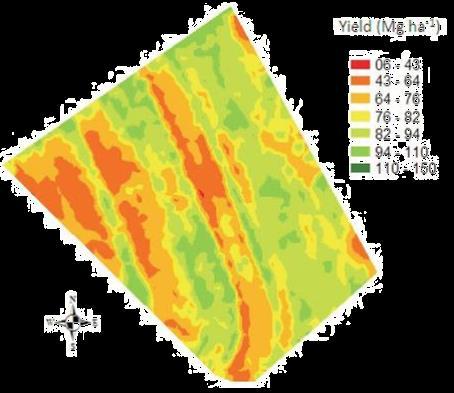 Agricultura de Precisão Um sistema de gerenciamento agrícola baseado na variação espacial e temporal da