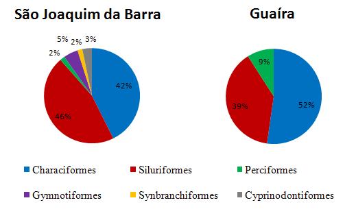 34 Figura 8. Contribuição relativa das ordens (%) em número nos trechos amostrados no rio Sapucaí Mirim, SP, no período de junho de 2007 a junho de 2009. No trecho 1 (S.J.