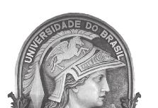 BOLETIM Universidade Federal do Rio de Janeiro Número 46-15 de novembro de 2018 REITORIA PROF.