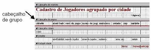 Cabeçalho e Rodapé de grupo: Em um agrupamento é necessário que o campo a ser agrupado fique em um cabeçalho de grupo, separado dos demais campos.