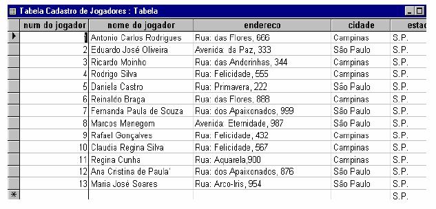 Clique sobre a guia do objeto desejado. Clique sobre o botão "Novo" ou selecione o objeto e clique sobre o botão "Abrir" ou "Estrutura".