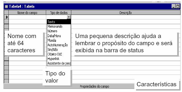 O Access apresenta esta janela para você definir a estrutura da tabela que será criada. Para criar uma tabela, você precisa: Criar os campos que a compõem (nome campo).