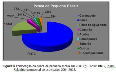 condições de conservação e maior valorização comercial, melhoria no fornecimento de aprestos de pesca e modernização de métodos de pesca.