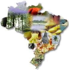 Questão 08 A grande extensão territorial do Brasil proporciona possibilidades para a execução de várias atividades econômicas.
