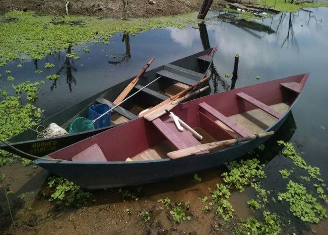 COORDENADORIA DE DESENVOLVIMENTO DA AQUICULTURA (CODEA)