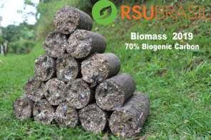 Waste to Energy O projeto RSU transforma o lixo não reciclado em uma biomassa e esta é transformada em energia.