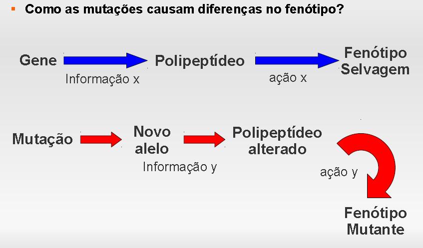 Como as mutações causam