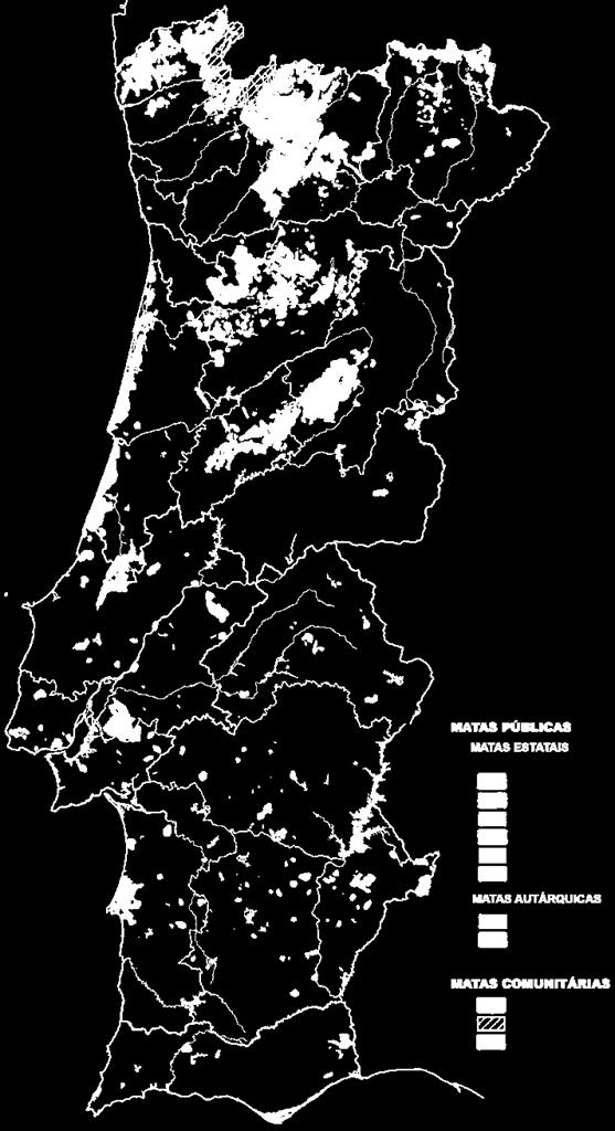 Propriedade florestal pública 113 000 ha de propriedades estatais 26 000 ha de propriedades autárquicas 465 500 ha de baldios 538000 ha no Regime