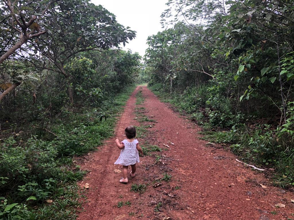 Alta Floresta MT 3 anos Obrigado!