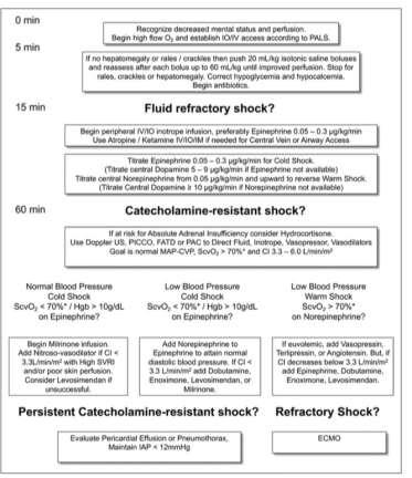 Figura 01 Tratamento inicial do choque séptico CONSIDERAÇÕES FINAIS Fonte: DELLINGER et al, 2013 A não identificação do quadro de sepse impede a instituição de tratamento adequado, resultando em