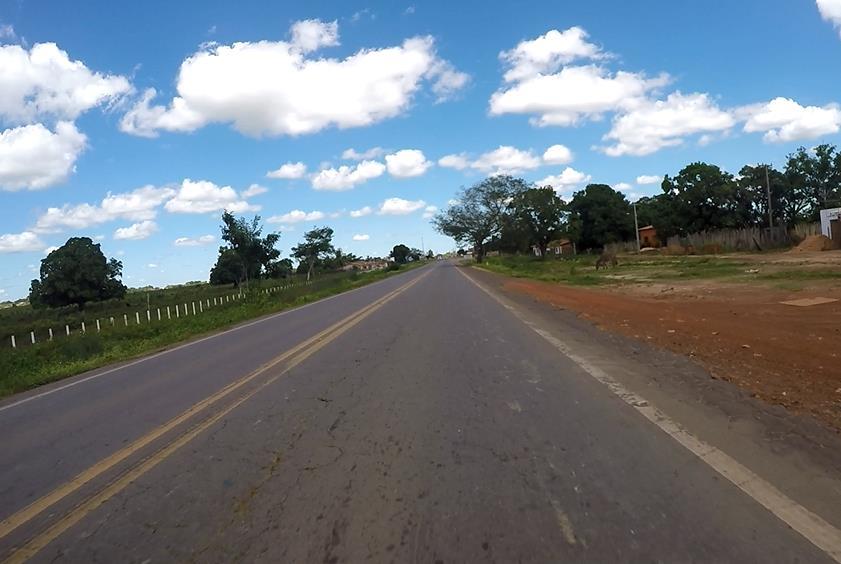 KM 124,700 Tipo: TRINCA INTERLIGADA TIPO JACARÉ