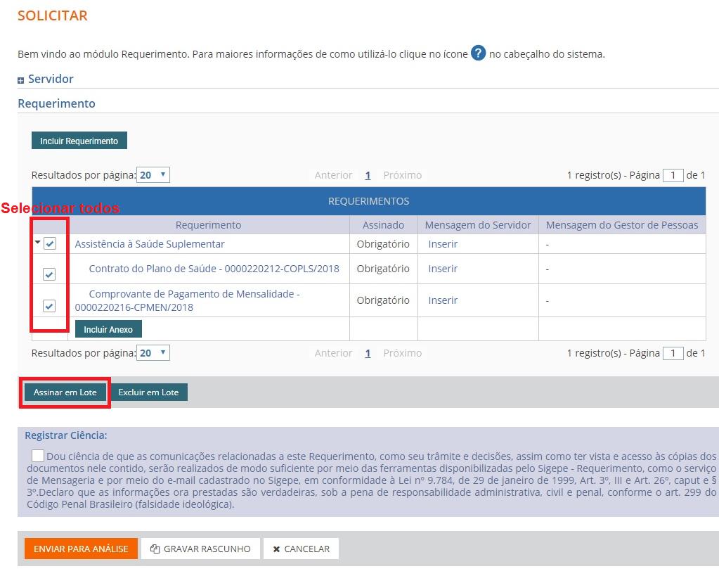 Finalizada a etapa de anexar os documentos, é preciso ainda assinar o requerimento e os