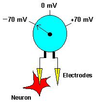 Potencial de