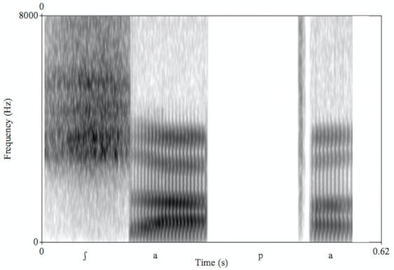 826 Figura 6 Espectrogramas dos melhores exemplares das palavras fricativas sintetizadas. À esquerda /ʃapa/ e a direita /sapa/ Fonte: Elaborada pelos autores.