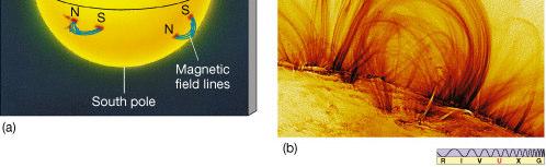 linhas de campo magnético vêm das camadas inferiores da fotosfera