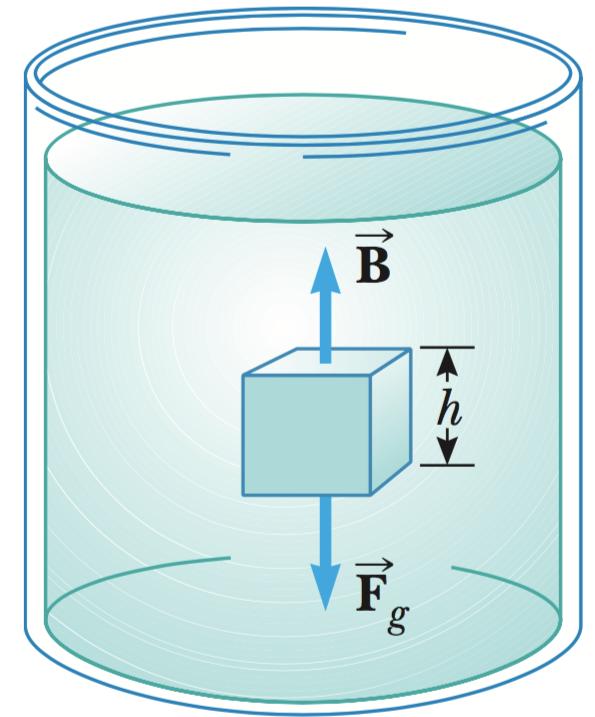 Um material homogêneo, como o gelo ou o ferro, possui a mesma densidade em todas as suas partes. Porção qualquer de fluido de área da base A e altura h em equilíbrio.