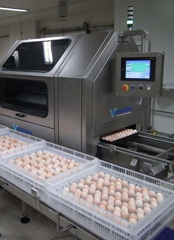 Saúde & Biossegurança Ovos viáveis A Detecção de Embrião Vivo melhora o processo de transferência pela detecção precisa de embriões