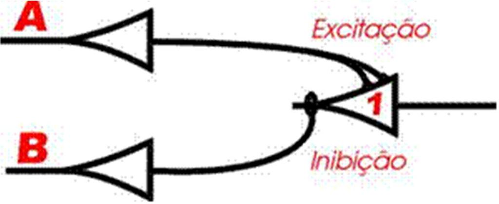 Modelo de McCullough and Ptts Proposta de cálculo lógco para descrever neurônos e redes, onde: Todas as snapses exctatóras têm o mesmo peso.