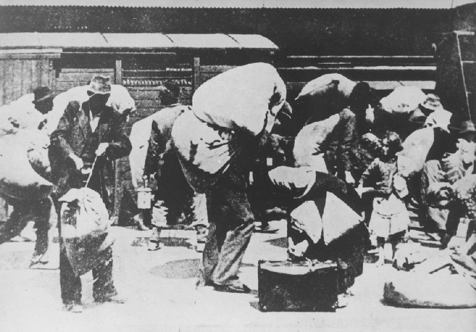MATERIAL PEDAGÓGICO N.º 4 Durante a II Guerra Mundial, milhões de pessoas foram vítimas de execuções em massa, deportação, fome, trabalhos forçados, campos de concentração e bombardeamentos.