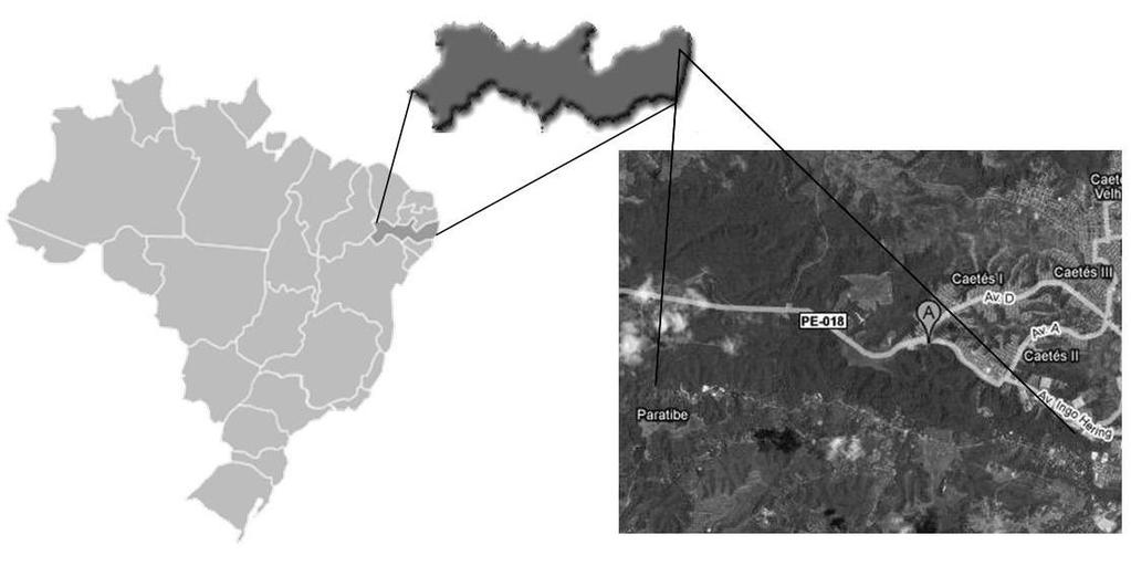 Figura 1. Localização da Estação Ecológica de Caetés, Paulista / PE, Brasil. Fonte: Google maps, 2008.