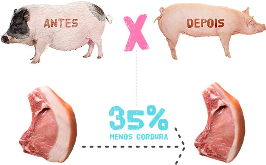 carne 16 Fonte: