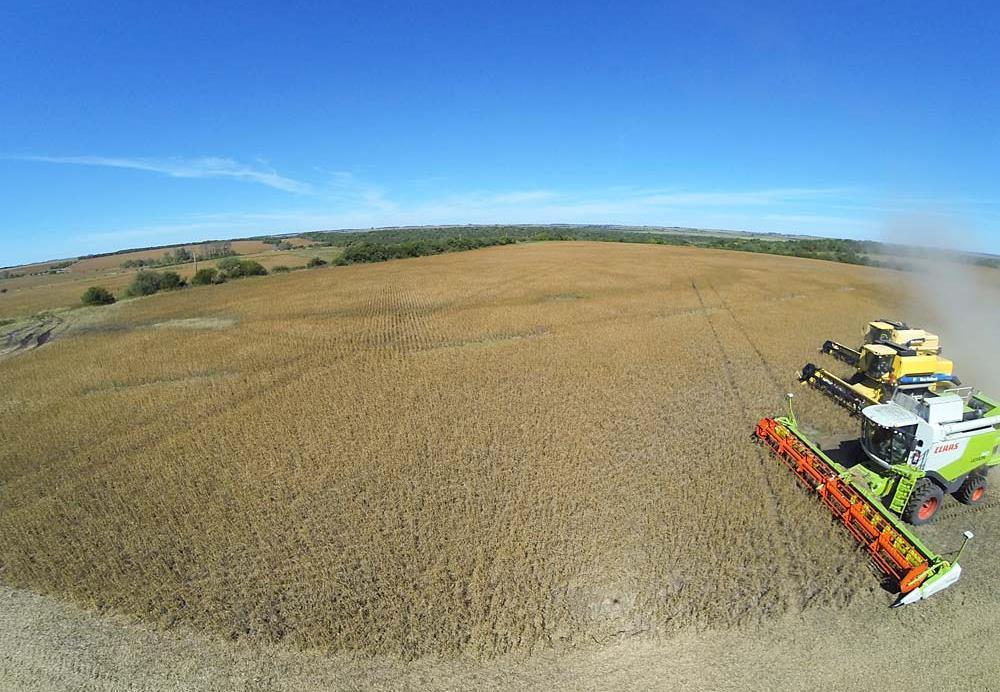 HIGHLIGHTS UNION AGRICULTURE GROUP IS THE LARGEST CORPORATE AGRICULTURAL LANDHOLDER AND OPERATOR IN URUGUAY MANAGED LAND 181,000 HECTARES SOY PRODUCTION 150,000 TONNES TOTAL NUMBER