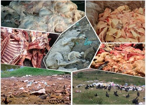 2 Destinação Sustentável de resíduos pecuários ANTES DO PNPB DEPOIS DO PNPB Cerca