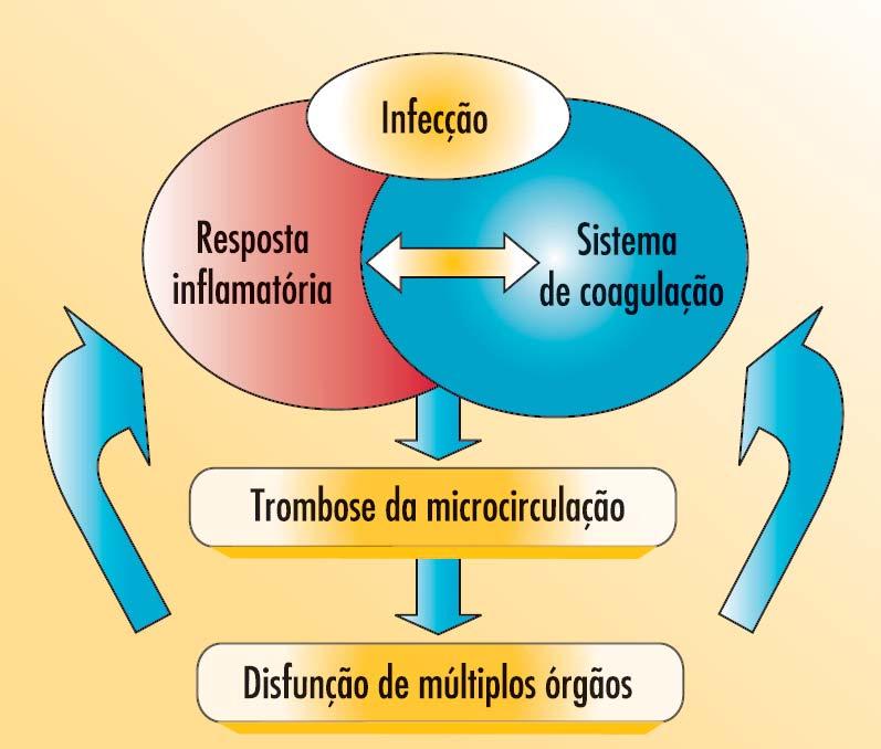 processo dominante nos eventos desencadeados pela sepse que levavam a DMO (5, 17, 33-36). Figura 1: Fisiopatologia da sepse.