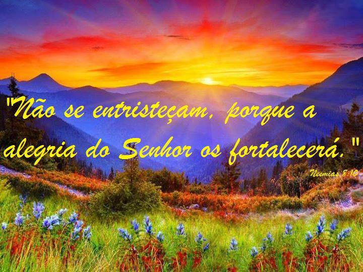 CANÇÃO DA SEMANA Boa tarde! Querido (a) irmão(a), Hoje quando estava me preparando para escrever a mensagem da semana, o Espírito Santo me trouxe a memória o profeta Neemias e sua trajetória de vida.