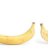 A banana é um fruto partenocárpico, pois