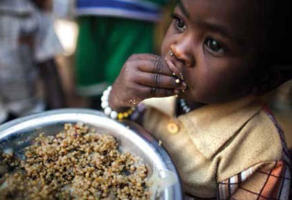 Erradicar a fome, aumentar a segurança alimentar e os índices de nutrição e promover a agricultura sustentável Globalmente, uma em cada nove pessoas está desnutrida (795 milhões).