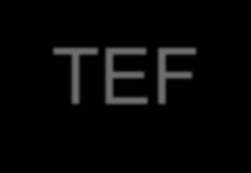 TEF