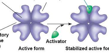 Controle Alostérico termo usado para descrever a situação em que a função da proteína em um sítio é afetada pela ligação de uma molécula regulatória em outro sítio.