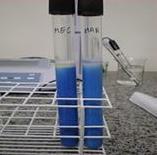 Redutase ou Teste de Redução do Azul de Metileno (TRAM) Avalia o tempo de descoramento do indicador azul de metileno.