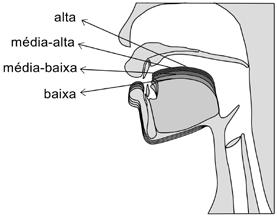 Conceitos fundamentais de Fonética Articulatória Figura 1.6 Posições de altura da língua/abertura da mandíbula. A Figura 1.