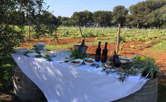 Cidade de Gourdon e fábrica de doces Confiserie Florian com atelier de fabricação de chocolate com pétalas de flores Noites