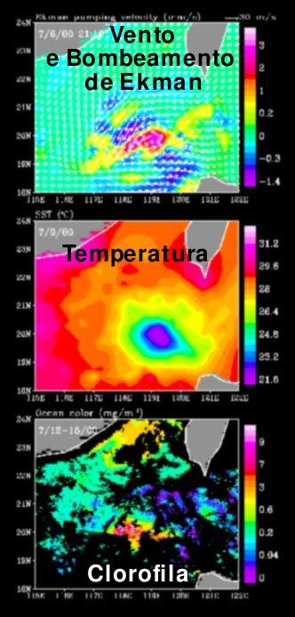 Aplicações Bombeamento de Ekman O Impacto Biológico de w E w E = k τ ρf Podemos estimar τ de bulk formulas e com τ podemos estimar a velocidade vertical w E.