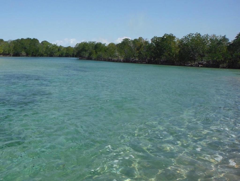 AMBIENTE FAVORÁVEL PARA UM SISTEMA DE NENHUMA PERDA LÍQUIDA DE BIODIVERSIDADE P e r m a n ê n c i a A d i c i o n a l i d a d e E q u i v a l ê n c i a O Governo está a elaborar um quadro legal para