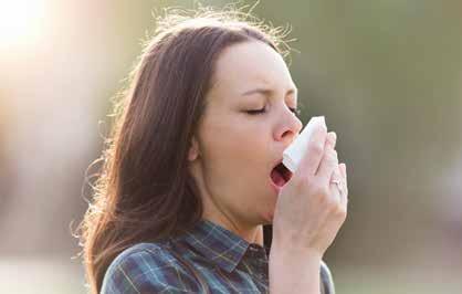 RINITE A rinite é uma reação alérgica imunológica a partículas inaladas que provoca irritação e ou inflamação da mucosa do nariz, causando espirros, coriza, coceira e entupimento das vias nasais.