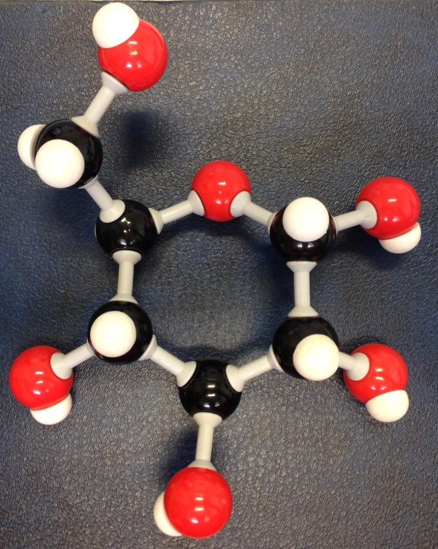 1) Construir uma molécula de glicose