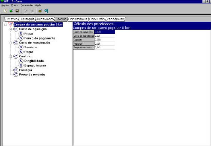 27 2.5.3 Sistema computacional IPÊ 1.0 A ferramenta proposta por Costa (2004) permite a aplicação da técnica AHP.