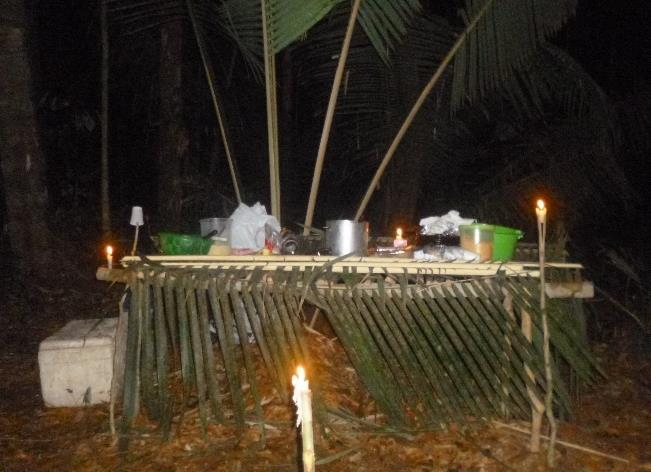 3º dia: (Lago Tracajá) 06h30 - Caminhada na selva para reconhecimento da área. 12h00 - Almoço. Após o almoço, descanso em rede. 15h00 - Caminhada em outras áreas do Lago Tracajá.